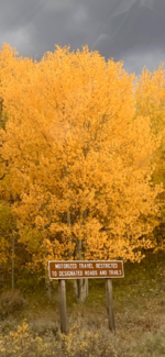 DF42C1AB-01DF-4695-B77B-44DA64C7A8B8.png