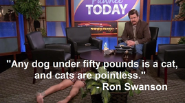 1666304093412.png