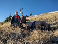 22' elk.jpg