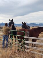 IMG_20201127_104158736.jpg