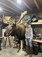 moose.jpg