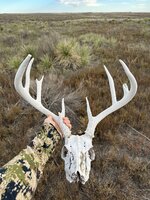 IMG_0805.JPG