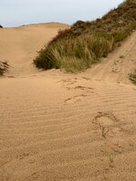 IMG_0837.JPG