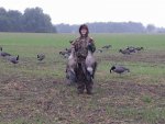 geese.jpg