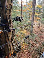 IMG_20221028_082522_01.jpg