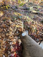 20221029_103615.jpg