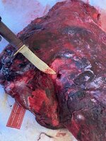 4145C0BA-65E1-4B1F-85E8-5AA03ADD1675.jpeg