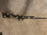 372D6621-F0D6-42B5-BA06-AA87E55A69D4.jpeg