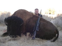 dad's bison.jpg