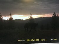 E23F8559-A054-4BF8-8CF5-D6905493BF77.jpeg