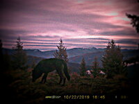 AAB6917D-CC29-4E1A-8ABC-94FD476E2E30.jpeg