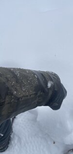 E418B2CE-241C-4F68-955C-309DC7B2C86D.jpeg