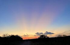 IMG_6475.jpeg
