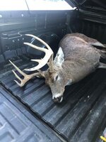 buck 11-9-22.jpg