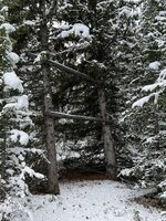 8543BEF7-6A09-432C-92A9-7B98005FEAE1.jpeg