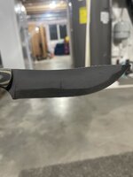 IMG_2971.jpeg