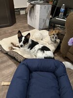 616C0856-A07C-40F6-B165-54A4426680E5.jpeg
