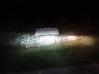 IMG_20210213_193638649.jpg