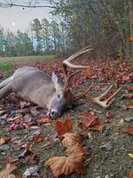 Rokslide Big Buck Contest.jpg