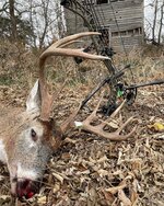 22 buck 4.jpg