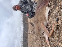 22 buck 9.jpg