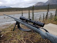 Cooper.jpg Cooper.jpg