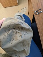 PXL_20221115_181841741.jpg