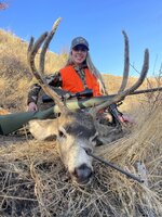 cassasdra 2022 mule deer.jpg