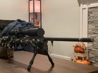 image3.jpeg image3.jpeg