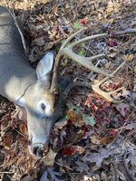 IMG_1297.jpg