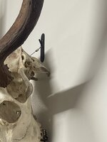 71E6E346-0614-44C4-BC61-B4D84ACE15A8.jpeg