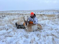 PRONGHORN 2.jpg