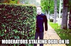 stalker.jpeg