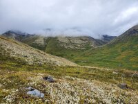 20210825_125653.jpg