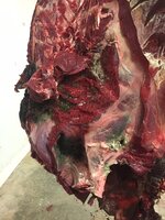 935569F5-878F-495B-9690-275EDFCD67A2.jpeg