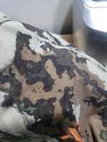 20221125_100538.jpg