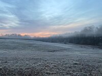 IMG_6959.jpg