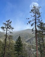 F6DAE805-AEAD-45F0-9625-76EA2B7FCFE5.jpeg