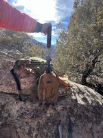 800E93B5-60A9-4BE5-BFA2-6074C79C9253.jpeg 800E93B5-60A9-4BE5-BFA2-6074C79C9253.jpeg