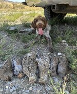 IMG_0819.jpg