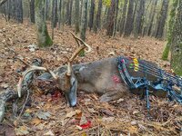 SCBuck2022-2.jpg
