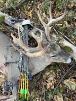 MN Buck 22.1-1.jpg