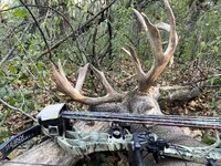 MN Buck 22.3-1.jpg