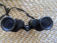 PXL_20221127_171106701.jpg
