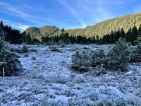 IMG_6850.jpeg