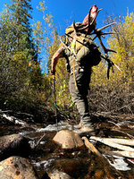 Creek crossing with Elk .jpg