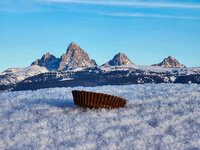 Reese's and Tetons.jpg