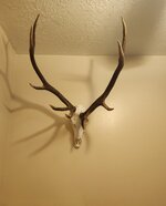 20221202_193611.jpg