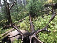 IMG_0226.JPG IMG_0226.JPG