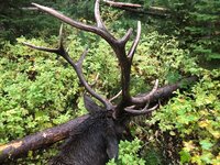 IMG_0227.jpg IMG_0227.jpg